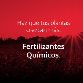 inicio-fertilizante